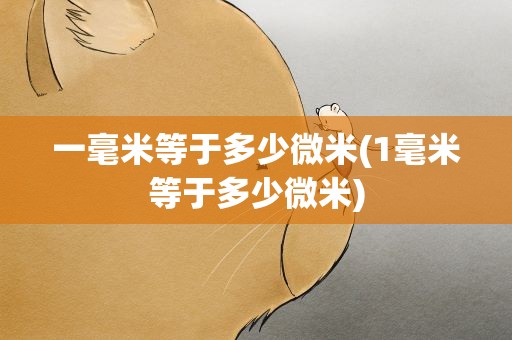 一毫米等于多少微米(1毫米等于多少微米)
