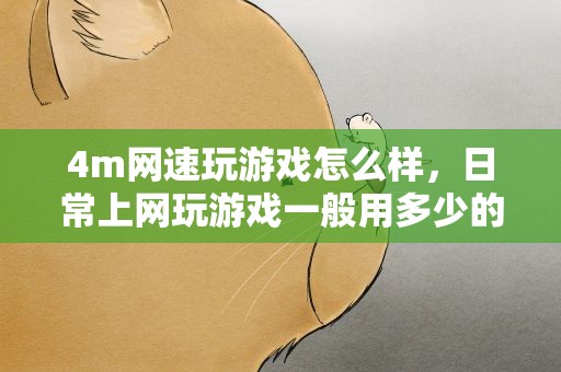 4m网速玩游戏怎么样，日常上网玩游戏一般用多少的网速4M可以吗