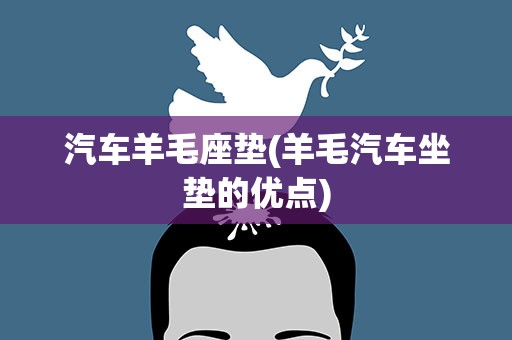 汽车羊毛座垫(羊毛汽车坐垫的优点)
