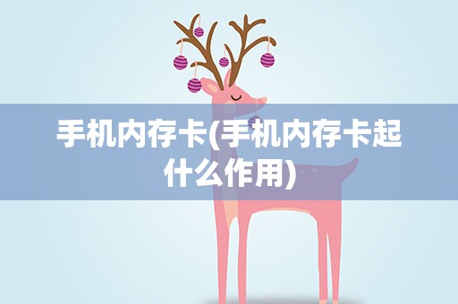 手机内存卡(手机内存卡起什么作用)
