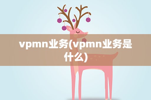vpmn业务(vpmn业务是什么)