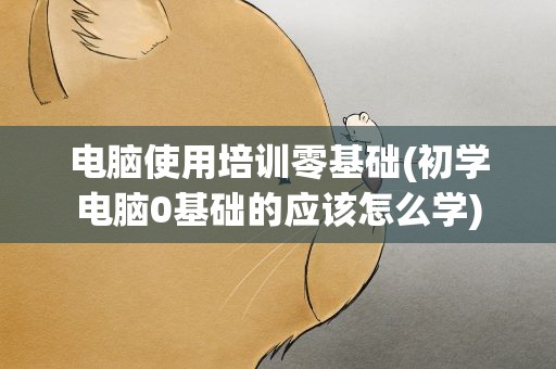 电脑使用培训零基础(初学电脑0基础的应该怎么学)