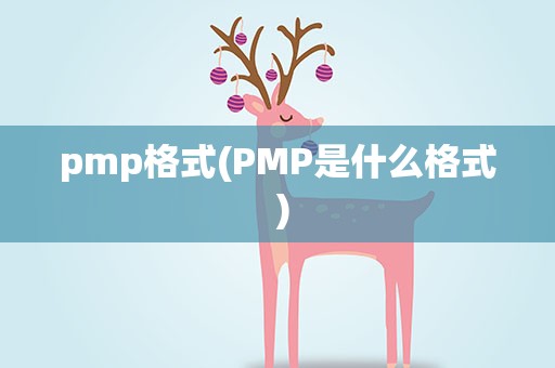 pmp格式(PMP是什么格式 )