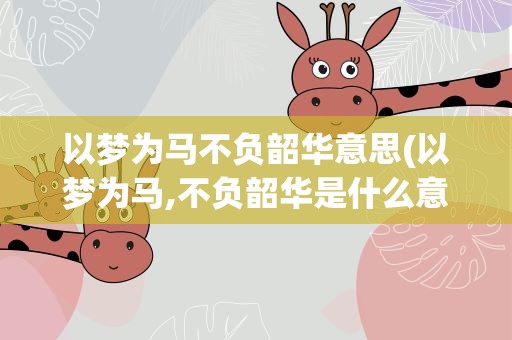 以梦为马不负韶华意思(以梦为马,不负韶华是什么意思)