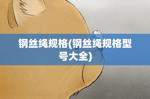 钢丝绳规格(钢丝绳规格型号大全)