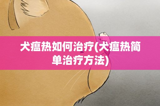 犬瘟热如何治疗(犬瘟热简单治疗方法)