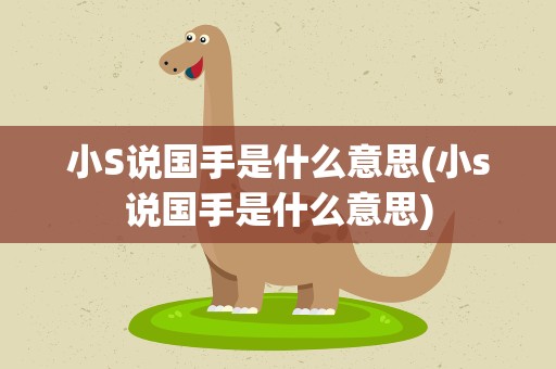 小S说国手是什么意思(小s说国手是什么意思)