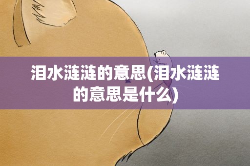 泪水涟涟的意思(泪水涟涟的意思是什么)