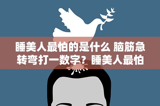睡美人最怕的是什么 脑筋急转弯打一数字？睡美人最怕的是什么脑筋急转弯打一数字