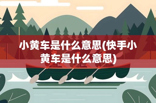 小黄车是什么意思(快手小黄车是什么意思)
