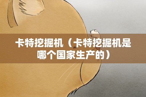 卡特挖掘机（卡特挖掘机是哪个国家生产的）
