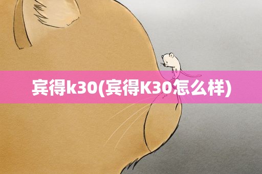 宾得k30(宾得K30怎么样)