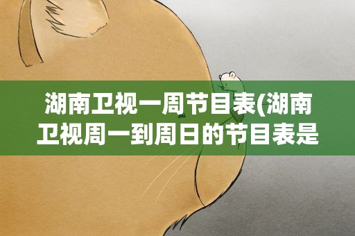 湖南卫视一周节目表(湖南卫视周一到周日的节目表是)