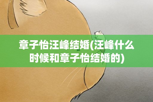 章子怡汪峰结婚(汪峰什么时候和章子怡结婚的)