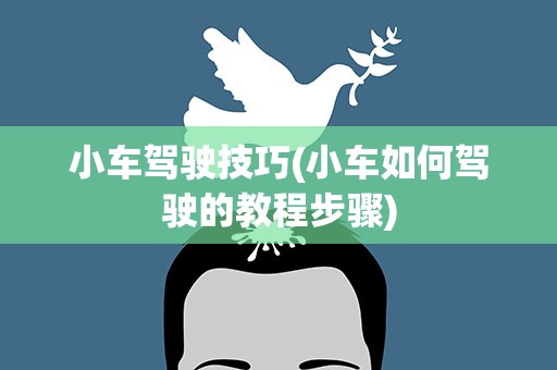 小车驾驶技巧(小车如何驾驶的教程步骤)