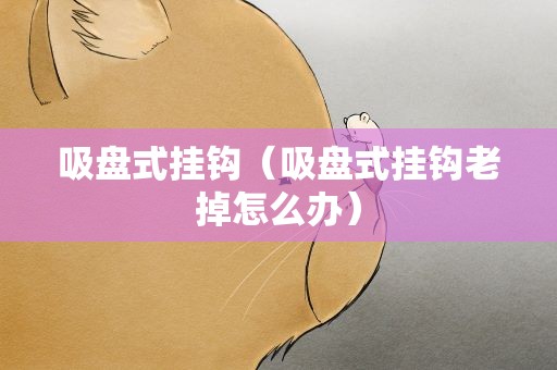 吸盘式挂钩（吸盘式挂钩老掉怎么办）