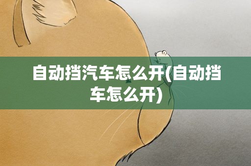 自动挡汽车怎么开(自动挡车怎么开)