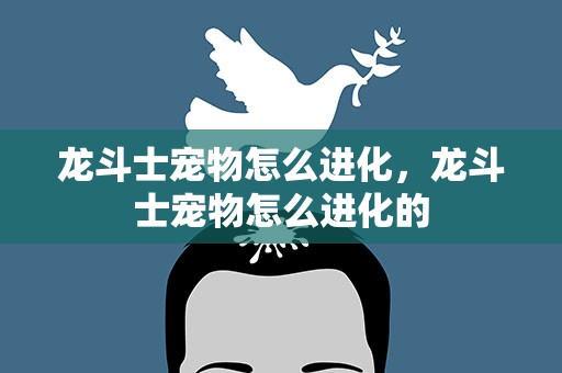龙斗士宠物怎么进化，龙斗士宠物怎么进化的