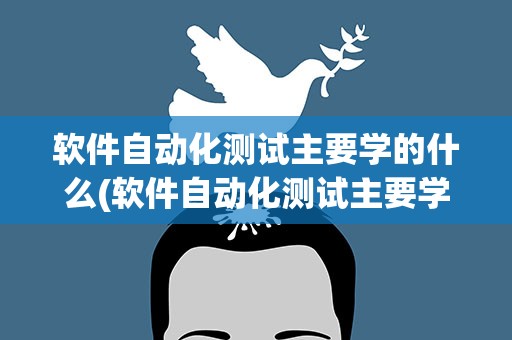 软件自动化测试主要学的什么(软件自动化测试主要学的什么内容)