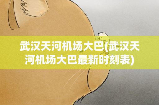 武汉天河机场大巴(武汉天河机场大巴最新时刻表)
