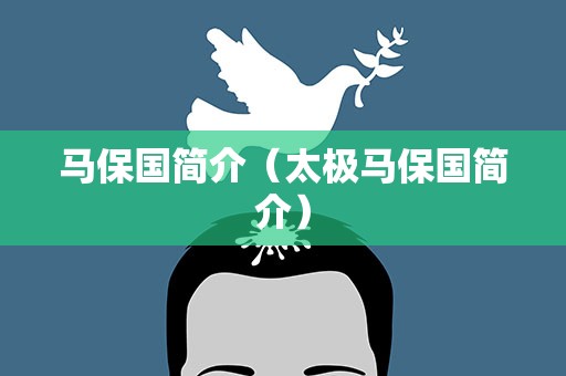 马保国简介（太极马保国简介）