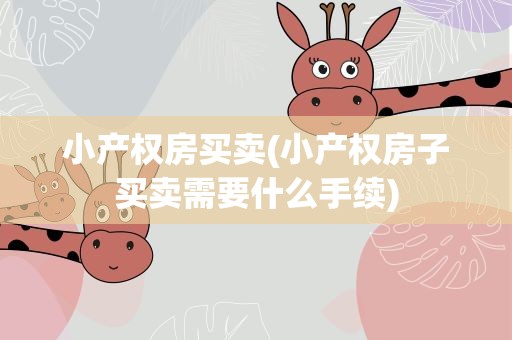 小产权房买卖(小产权房子买卖需要什么手续)