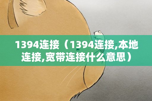 1394连接（1394连接,本地连接,宽带连接什么意思）