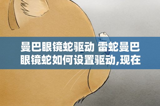 曼巴眼镜蛇驱动 雷蛇曼巴眼镜蛇如何设置驱动,现在感觉很飘啊