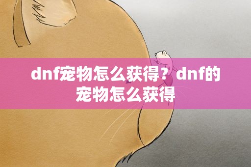 dnf宠物怎么获得？dnf的宠物怎么获得
