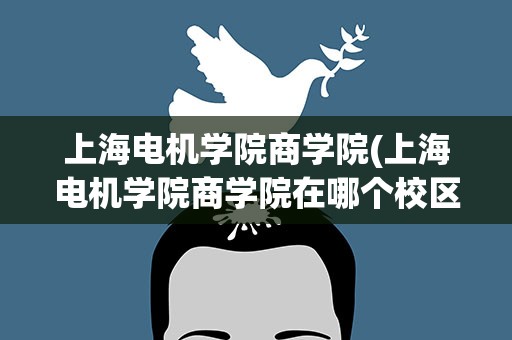 上海电机学院商学院(上海电机学院商学院在哪个校区)