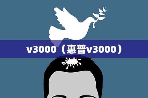 v3000（惠普v3000）