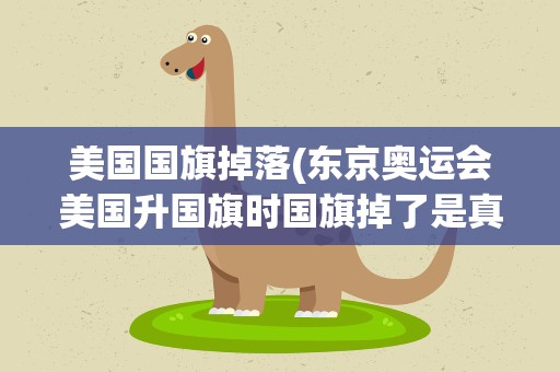 美国国旗掉落(东京奥运会美国升国旗时国旗掉了是真的吗)