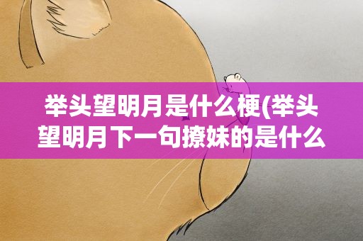 举头望明月是什么梗(举头望明月下一句撩妹的是什么)