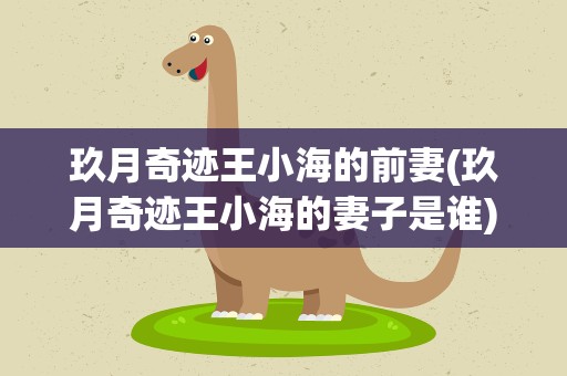 玖月奇迹王小海的前妻(玖月奇迹王小海的妻子是谁)