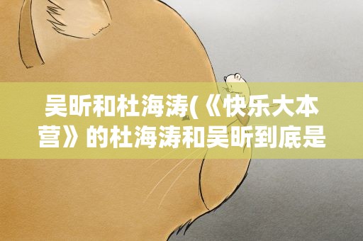 吴昕和杜海涛(《快乐大本营》的杜海涛和吴昕到底是啥关系)