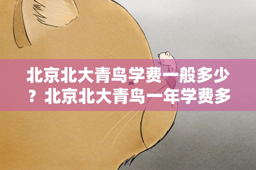北京北大青鸟学费一般多少？北京北大青鸟一年学费多少