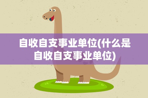 自收自支事业单位(什么是自收自支事业单位)