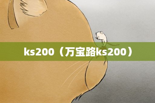 ks200（万宝路ks200）