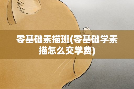 零基础素描班(零基础学素描怎么交学费)