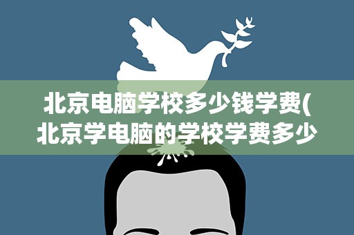 北京电脑学校多少钱学费(北京学电脑的学校学费多少)