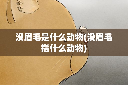 没眉毛是什么动物(没眉毛指什么动物)