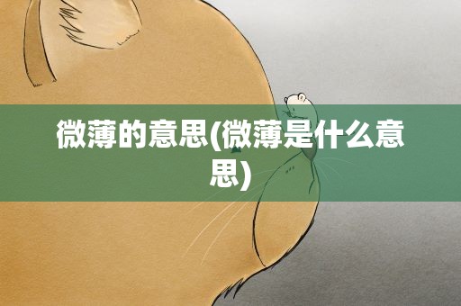 微薄的意思(微薄是什么意思)