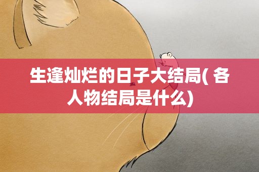 生逢灿烂的日子大结局( 各人物结局是什么)