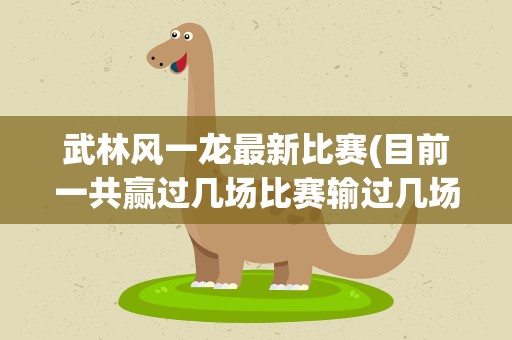 武林风一龙最新比赛(目前一共赢过几场比赛输过几场比赛)