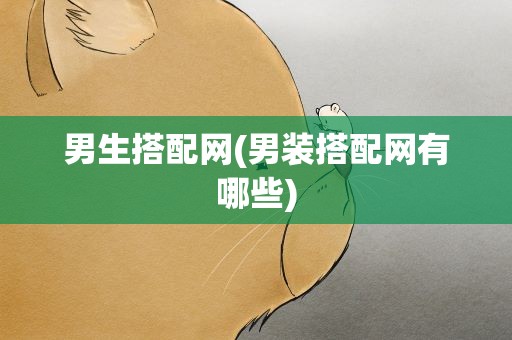 男生搭配网(男装搭配网有哪些)