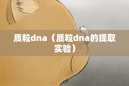 质粒dna（质粒dna的提取实验）