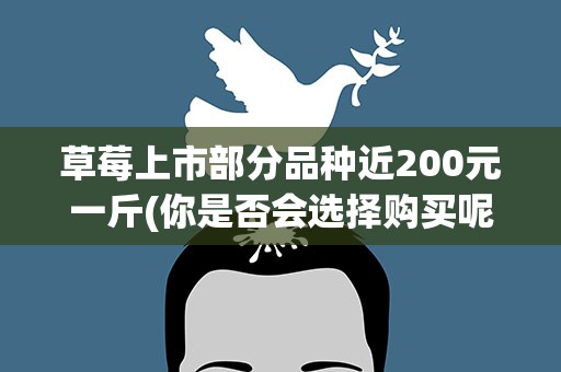 草莓上市部分品种近200元一斤(你是否会选择购买呢)