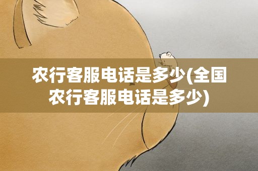 农行客服电话是多少(全国农行客服电话是多少)