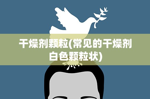 干燥剂颗粒(常见的干燥剂白色颗粒状)