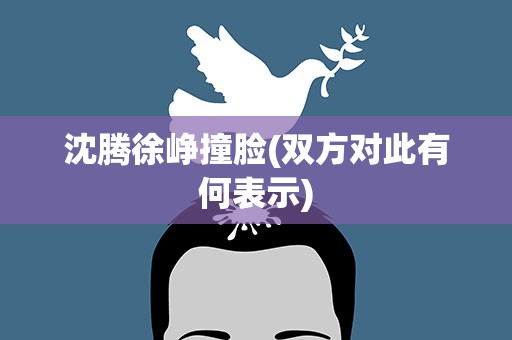 沈腾徐峥撞脸(双方对此有何表示)